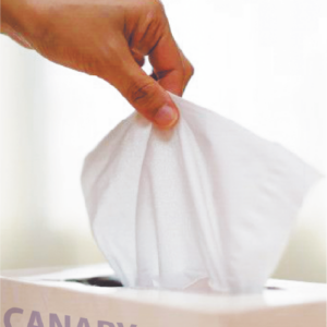#12119 CANARY FACIAL TISSUES 2PLY 100 SHEETS PACK 48/CTN