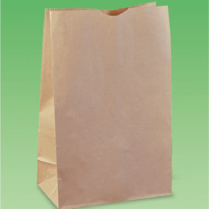 #12154 CHECKOUT PAPER BAG #16 315X240X120MM 500/CTN