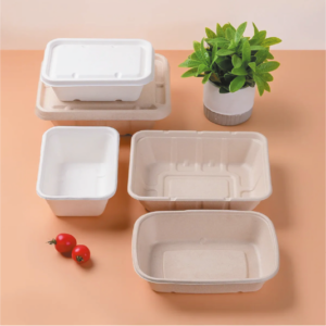 CORN STARCH PACKAGING LUNCH BOX WITH LID